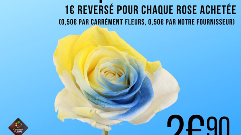 Désormais, en plus des jonquilles contre le cancer, le réseau de fleuristes Carrément Fleurs s’est investi pour l’Ukraine via les ventes de ses fleurs bleues et jaunes. ©Carrément Fleurs